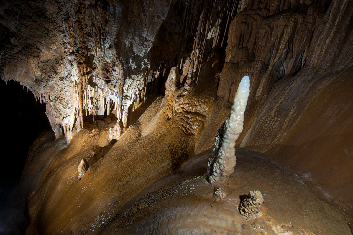 speleoteme de calcit